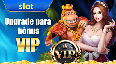 Experiência VIP 711brl